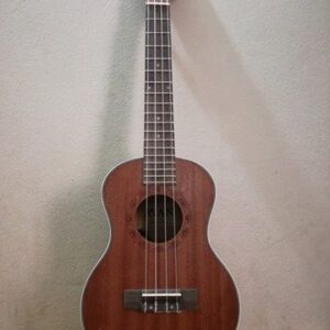 Ukulele 6