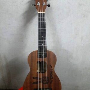 Ukulele 5