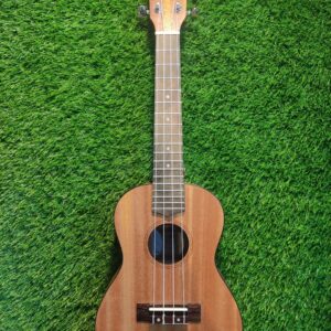 Ukulele 3