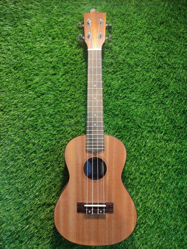 Ukulele 3