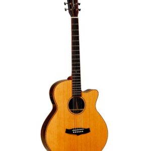 Guitar 5
