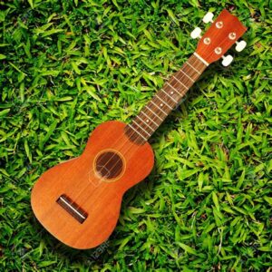 Ukulele 2