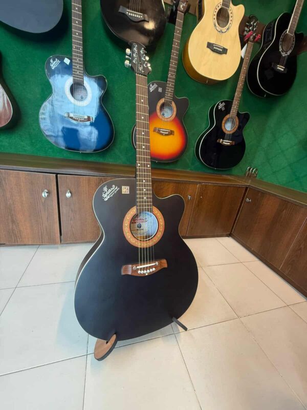 Signature Guitar